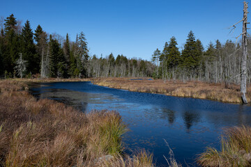 Mossy Vly waterway in the Adirondack Mountains in late autumn