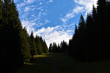 sunrise in the mountains