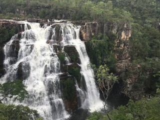 waterfall in the forest