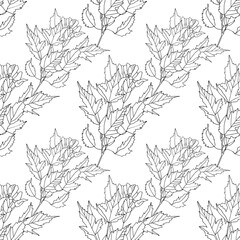 Seamless pattern line art maple branch with leaves on white background. Hand-drawn black marker plant tree. Nature art creative object for card, sticker, coloring book