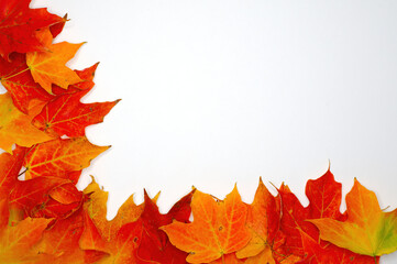 Naklejka na ściany i meble Lower left autumn leaf border background