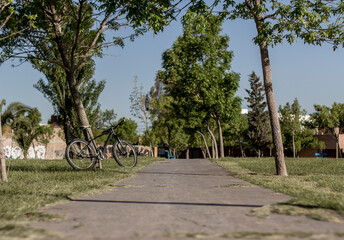 La bici en el parque