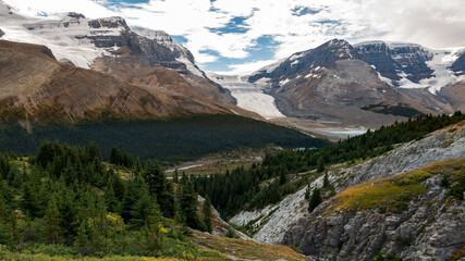 View of the Athabasca glacier from Wilcox peak trail and forefront forest and mountains in Jasper National Park, Alberta, Canada.