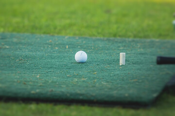 Group of golfers practicing and training golf swing on driving range practice, men playing on golf...