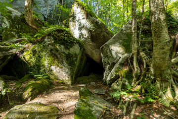 Caves form among boulders in the forest of the Lamoille River Valley