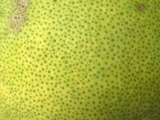 Close-up photo of grapefruit peel 