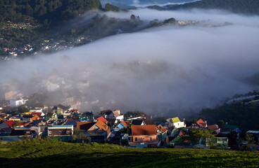 
an early plateau of Da Lat