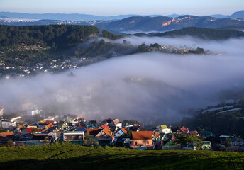 houses in the fog