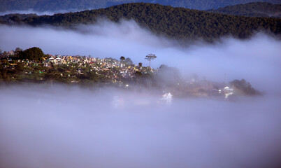 
an early plateau of Da Lat