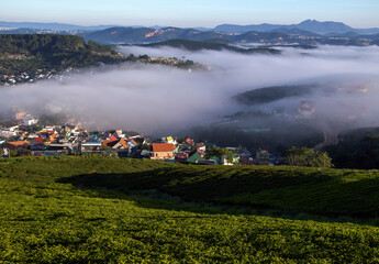 
an early plateau of Da Lat