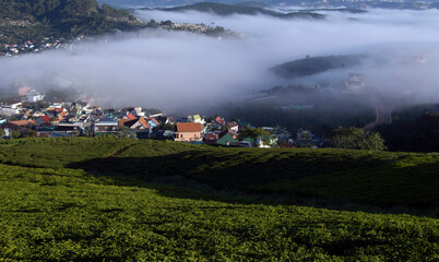 
an early plateau of Da Lat