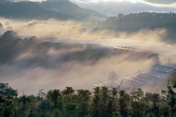 fog in the mountains