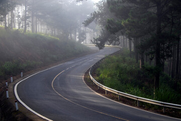 road in the fog