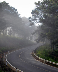 road to the fog