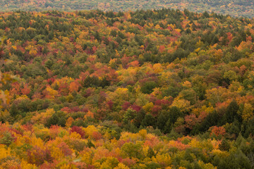 New England fall colors peak in a valley of souther New Hampshire