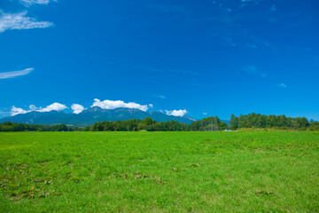 Obraz premium 草原と青空