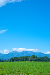 草原と八ヶ岳