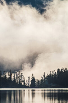 Silhouettes of pointy fir tops on hillside along mountain lake in dense fog. Reflection of coniferous trees in shiny calm water. Alpine tranquil landscape at early morning. Ghostly atmospheric scenery