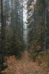 Autumn landscape. Russia. Ural landscape
