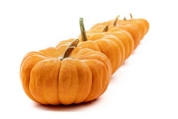 a row of pumpkins vanishing in the distance isolate on white
