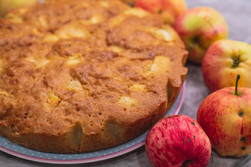 View of Sharlotka cake - traditional seasonal russian apple homemade baked sponge pie