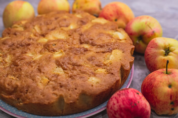 View of Sharlotka cake - traditional seasonal russian apple homemade baked sponge pie