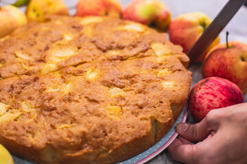 View of Sharlotka cake - traditional seasonal russian apple homemade baked sponge pie