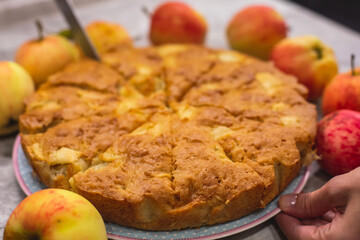 View of Sharlotka cake - traditional seasonal russian apple homemade baked sponge pie