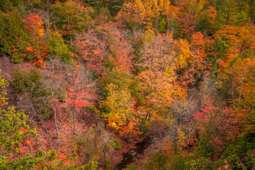 Aerial shot of colorful fall foliage along Hammell creek in Michigan upper peninsula