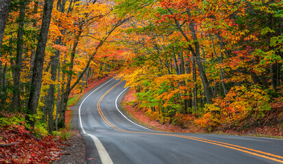 Tunnel of trees in autumn time along scenic byway M41 in Keweenaw peninsula in Michigan upper peninsula