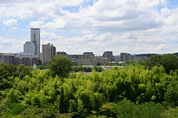 Fototapeta premium 千里中央公園の展望台から千里ニュータウン新千里東町・新千里北町（豊中市）方面を望む
