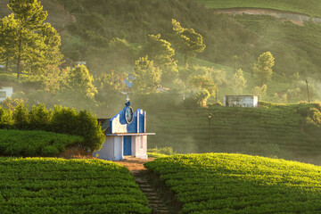 Small christian chapel in beautiful tea plantations in Munnar, Kerala, India.