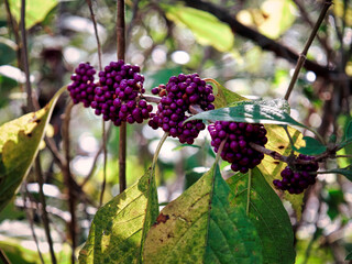 Beautiful Nature Scenery at its best