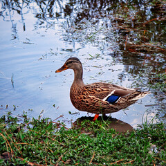 Beautiful Nature Scenery at its best