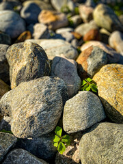 stone wall background