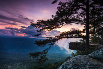 Beautiful sunset on the high mountain in Phu-kra-dueng national park, Loei province, Thailand.