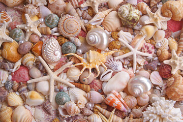 Many tropical colorful seashells, corals and starfishes mixed with pearls