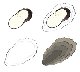 牡蠣 むき身と貝殻のセット イラスト ベクター ©  みやもとかずみ