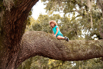 Little cute boy kid climbing on tree hight outdoor child lifestyle concept.