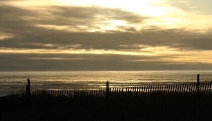 Silhouettes  of dune  protection fence at Westport beach