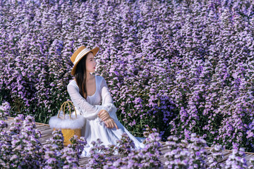 Beautiful girl in white dress sitting in Margaret flowers fields.