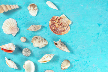 Sea shells banner with copy space, top shot on a teal blue background, a flatlay design