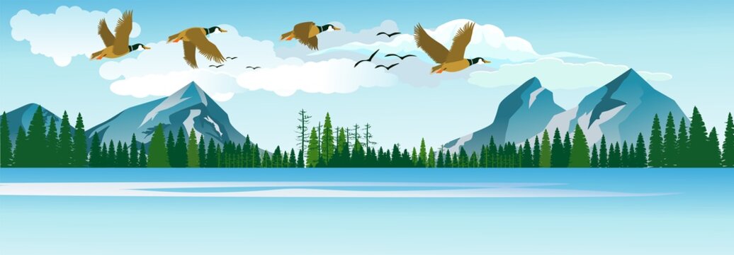 migratory birds fly in the clouds over the beautiful lake, panoramic vector illustration