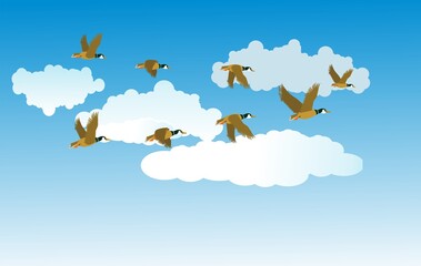 migratory birds fly in the clouds, vector