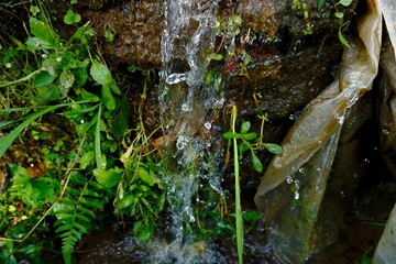 Natural water source in the mountains, The water falls from the rocks.