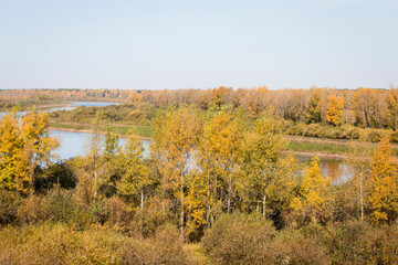 Fototapeta premium Scenery. Riverbed. The blue sky is reflected in the water. Autumn meadows and trees are yellow. sunny day.