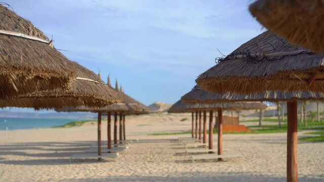 Rows of beach umbrellas made of natural materials