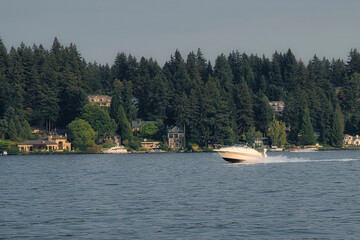 Fototapeta premium 2020-10-18 A LONE SPEEDBOAT ON LAKE WASHINGTON ALONG THE BELLEVUE WASHINGTON SHORELINE