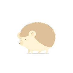 Vector illustration of cute small hedgehog. isolated on white background