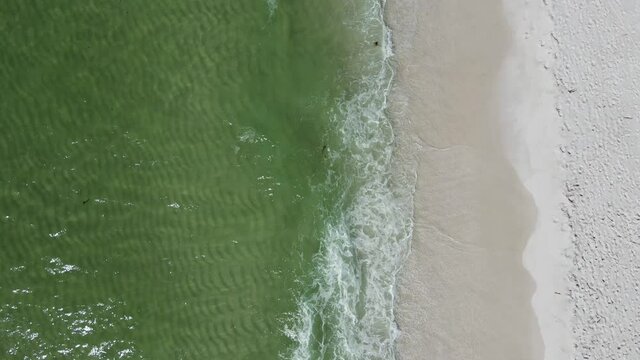 Escaping the World Concept - Tropical Sandy Beach on Florida Gulf Coast - Aerial Drone Overhead Birds Eye View